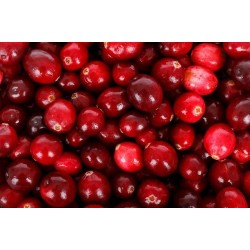 Arandanos Rojos Cranberries