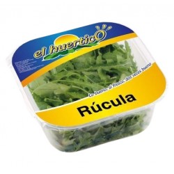 Rucula bandeja