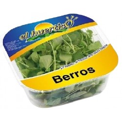 Berros