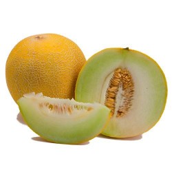 Melon galia (unidad)