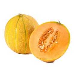 Melon cantalupo