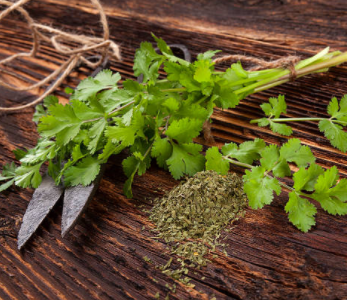 14 Hierbas aromáticas y especias para cocinar - Blog de Dietetica