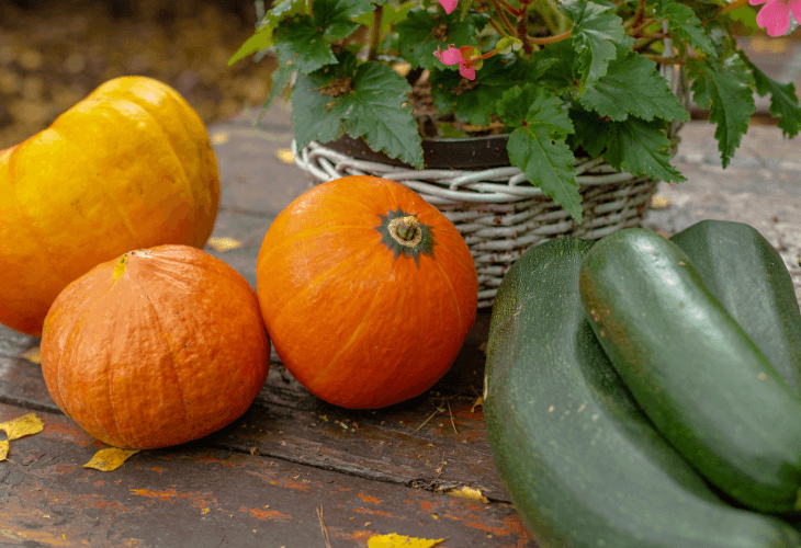 Verduras de temporada en diciembre