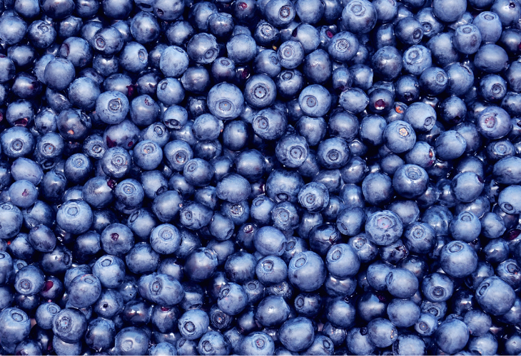 Detox de tu cuerpo con frutas
