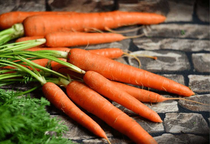 Frutas y Verduras de Temporada en Enero